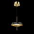 Подвесной светильник DeLight Collection MD18001061-1A  black/gold