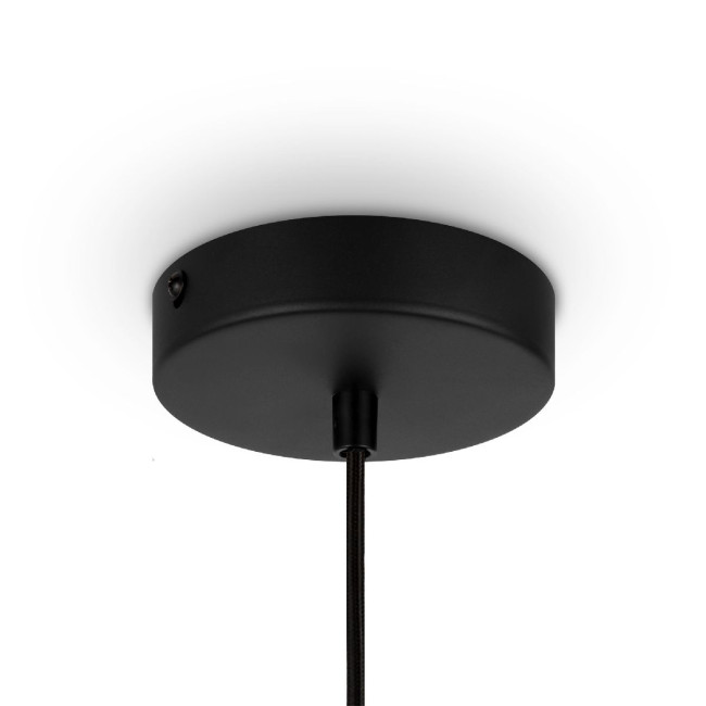 Подвесной светильник Maytoni Roots MOD193PL-01W Подвесной светильник Maytoni Roots MOD193PL-01W