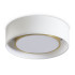 Потолочный светильник Freya Cozy FR6170CL-L52BS Потолочный светильник Freya Cozy FR6170CL-L52BS