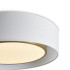 Потолочный светильник Freya Cozy FR6170CL-L52BS Потолочный светильник Freya Cozy FR6170CL-L52BS