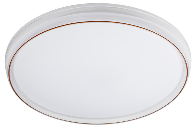 Потолочный светильник Эра SPB-6-80-RC Solar Б0054484