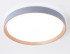 Потолочный светильник Ambrella Light Orbital Design FZ1322 Потолочный светильник Ambrella Light Orbital Design FZ1322