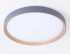 Потолочный светильник Ambrella Light Orbital Design FZ1322 Потолочный светильник Ambrella Light Orbital Design FZ1322