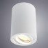 Потолочный светильник Arte Lamp A1560PL-1WH Потолочный светильник Arte Lamp A1560PL-1WH