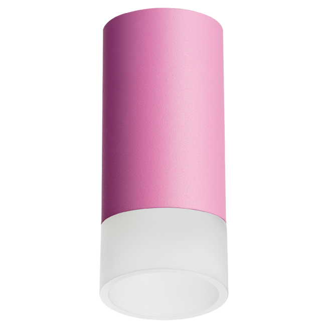 Накладной светильник Lightstar Rullo R43231 (214432+202431)