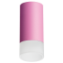 Накладной светильник Lightstar Rullo R43231 (214432+202431)