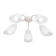 Потолочная люстра Vitaluce V31950/5PL