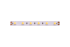 Светодиодная лента DesignLed DSG560-24-NW-33 002118 Светодиодная лента DesignLed DSG560-24-NW-33 002118