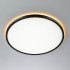 Потолочный светильник Citilux Norma CL749401 Потолочный светильник Citilux Norma CL749401