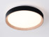 Потолочный светильник Ambrella Light Orbital Design FZ1324 Потолочный светильник Ambrella Light Orbital Design FZ1324