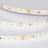 Светодиодная лента Arlight UL-A120-8mm 24V White6000 (2 W/m, IP20, 5m) 057519 Светодиодная лента Arlight UL-A120-8mm 24V White6000 (2 W/m, IP20, 5m) 057519