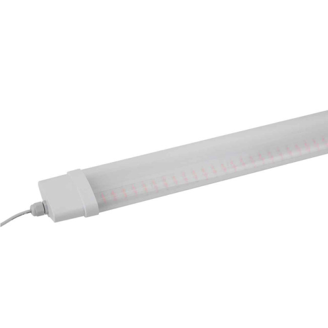 Светильник для растений ЭРА FITO-36W-RB-N Б0045697 Светильник для растений ЭРА FITO-36W-RB-N Б0045697