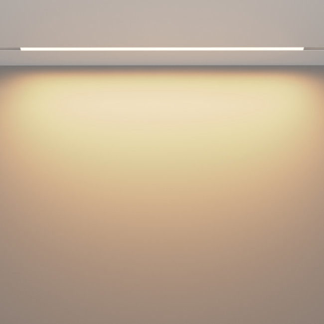 Трековый магнитный светильник Maytoni Technical Magnetic track system Exility Basis TR030-2-30W3K-W