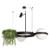Подвесная люстра Loft IT Jardin 10121/2 Подвесная люстра Loft IT Jardin 10121/2