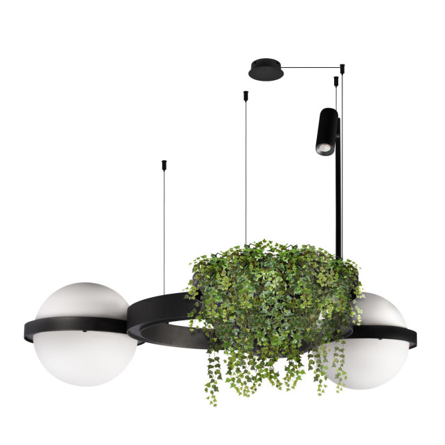 Подвесная люстра Loft IT Jardin 10121/2 Подвесная люстра Loft IT Jardin 10121/2