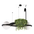 Подвесная люстра Loft IT Jardin 10121/2 Подвесная люстра Loft IT Jardin 10121/2