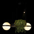 Подвесная люстра Loft IT Jardin 10121/2 Подвесная люстра Loft IT Jardin 10121/2