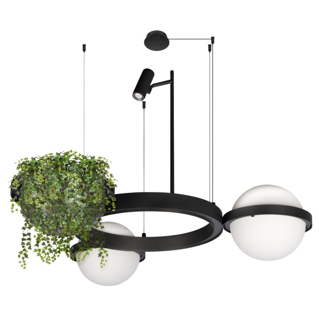 Подвесная люстра Loft IT Jardin 10121/2 Подвесная люстра Loft IT Jardin 10121/2