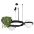 Подвесная люстра Loft IT Jardin 10121/2 Подвесная люстра Loft IT Jardin 10121/2