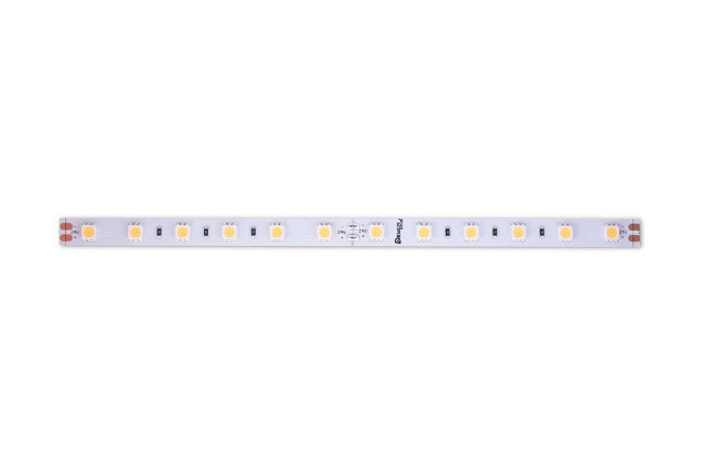 Светодиодная лента DesignLed DSG560-24-WW-33 000521 Светодиодная лента DesignLed DSG560-24-WW-33 000521