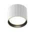 Потолочный светильник Maytoni Technical Calipso C106CL-GX53-W