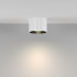 Потолочный светильник Maytoni Technical Calipso C106CL-GX53-W