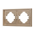 Рамка пластиковая на 2 поста Arlight FRM-TENDO-PL-2-GD 053842 Рамка пластиковая на 2 поста Arlight FRM-TENDO-PL-2-GD 053842