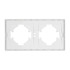 Рамка пластиковая на 2 поста Arlight FRM-TENDO-PL-2-GD 053842 Рамка пластиковая на 2 поста Arlight FRM-TENDO-PL-2-GD 053842