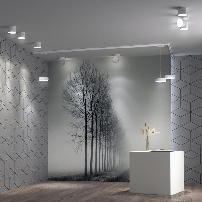 Спот Novotech Prometa 358749