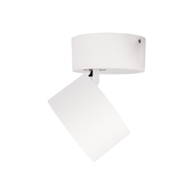Накладной спот Loft IT Focus 10323/A White Накладной спот Loft IT Focus 10323/A White