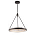 Подвесной светильник Delight Collection MD8790 MD8790-1A black/silver