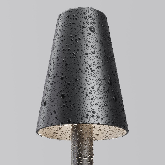 Ландшафтный светильник Maytoni Cane O504FL-L1B3K Ландшафтный светильник Maytoni Cane O504FL-L1B3K