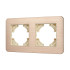 Рамка на 2 поста алюминиевая Arlight FRM-AKIRY-AL-2-GD 049726 Рамка на 2 поста алюминиевая Arlight FRM-AKIRY-AL-2-GD 049726