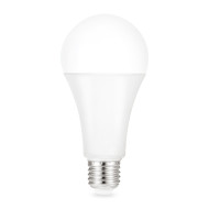 Лампа светодиодная Gauss E27 22W 6500K груша матовая 102502322