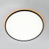 Потолочный светильник Citilux Norma CL749601 Потолочный светильник Citilux Norma CL749601