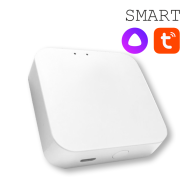 Конвертер WI-FI для трековой системы EKS Colibri Smart 0У-00002005 Конвертер WI-FI для трековой системы EKS Colibri Smart 0У-00002005
