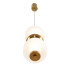 Подвесной светильник Lumion Ledio Taisha 8324/20L Подвесной светильник Lumion Ledio Taisha 8324/20L