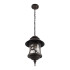 Уличный подвесной светильник Loft IT Prato 100021P Уличный подвесной светильник Loft IT Prato 100021P