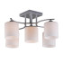 Потолочная люстра Omnilux Pisticci OML-55307-05 Потолочная люстра Omnilux Pisticci OML-55307-05
