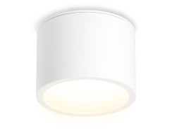 Накладной светильник Ambrella Light IP Protect TN6550 Накладной светильник Ambrella Light IP Protect TN6550