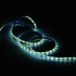 Светодиодная влагозащищенная лента Gauss 4,8W/m 60LED/m 2835SMD холодный белый 5M 356000305 Светодиодная влагозащищенная лента Gauss 4,8W/m 60LED/m 2835SMD холодный белый 5M 356000305
