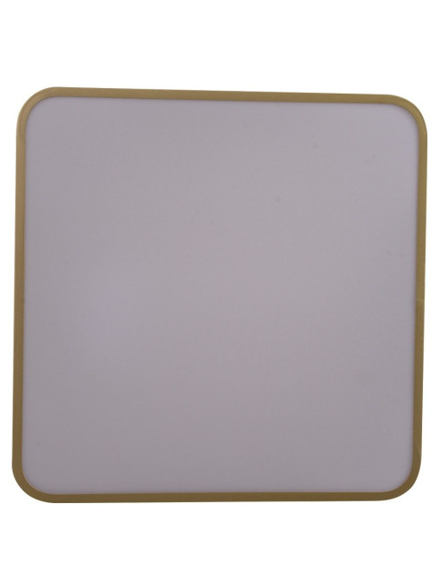 Потолочный светильник Zortes Gabby ZRS.1215.03