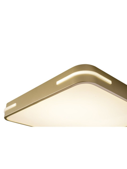 Потолочный светильник Zortes Gabby ZRS.1215.03