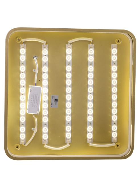 Потолочный светильник Zortes Gabby ZRS.1215.03