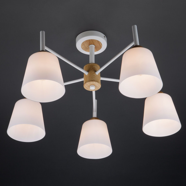 Потолочная люстра Eurosvet Fresco 70085/5 белый