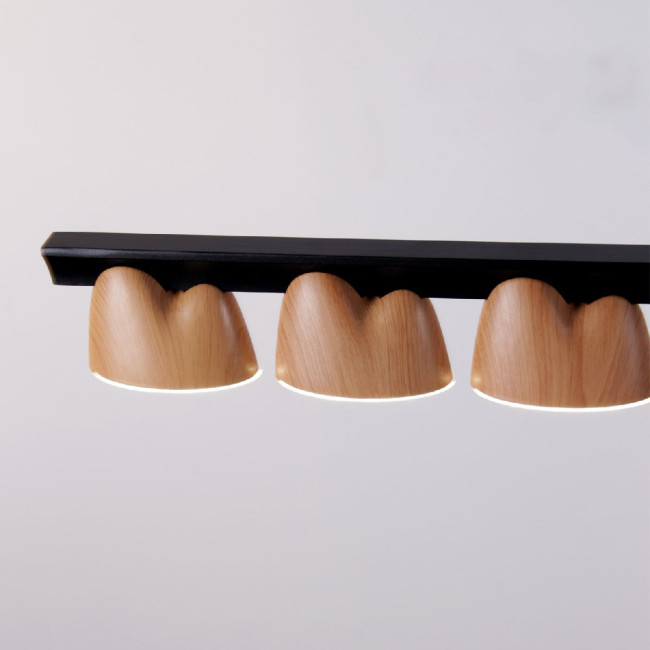 Подвесная люстра Favourite Interline 4266-10P Подвесная люстра Favourite Interline 4266-10P