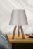 Настольная лампа Toplight Sophia TL1619T-01BG Настольная лампа Toplight Sophia TL1619T-01BG