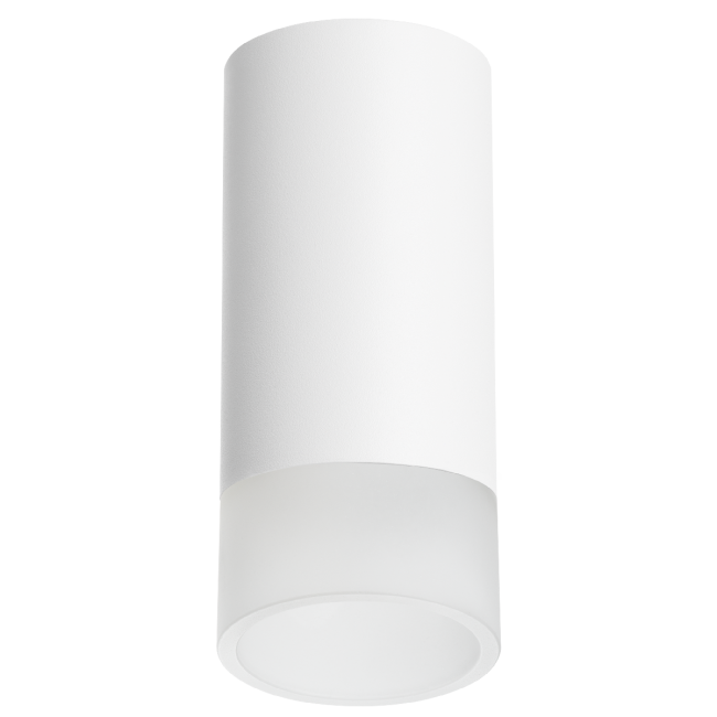 Накладной светильник Lightstar Rullo R43631 (214436+202431)