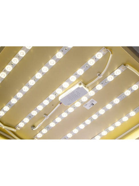 Потолочный светильник Zortes Gabby ZRS.1215.04