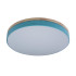 Потолочный светильник Loft IT AXEL 10001/36 Blue Потолочный светильник Loft IT AXEL 10001/36 Blue